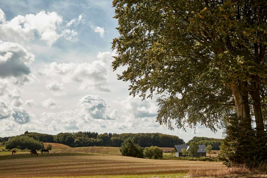 Locals will definitely agree that the steel profiles are “mousi”, which means amazing in the local dialect, Hjablelundvej 49, 9830 Tårs